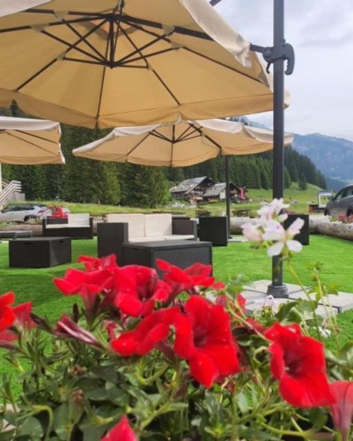 Dolomiti Mazzin
