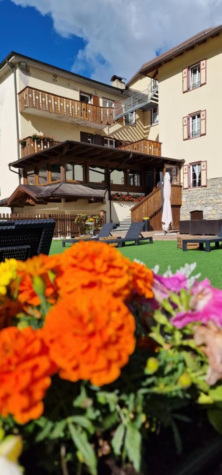 Dolomiti Hotel 3*